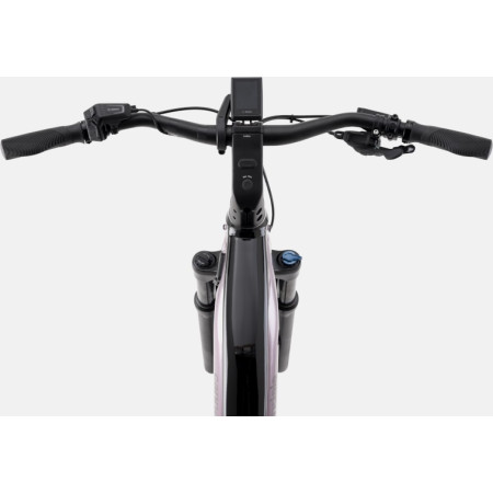 Bici elettrica CANNONDALE Tesoro Neo X 1 passo MALVA S