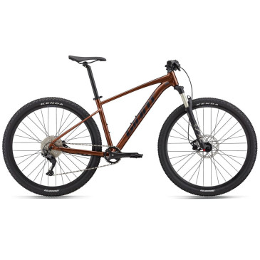 GIANT Talon 29 1 Bicicletta