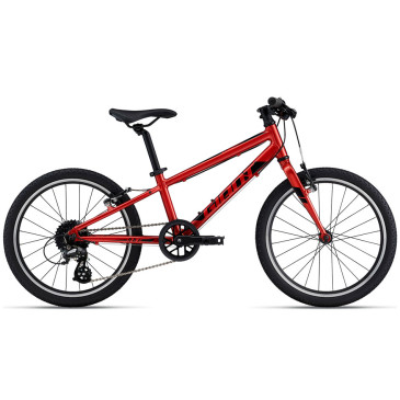 Bicicletta GIANT ARX 20