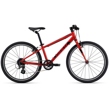 Bicicletta GIANT ARX 24