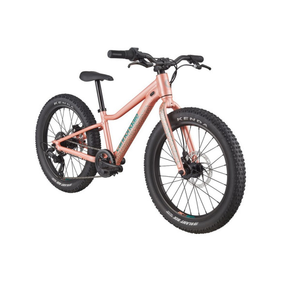 Bicicletta CANNONDALE Trail Plus 20 per bambini SALMONE Única