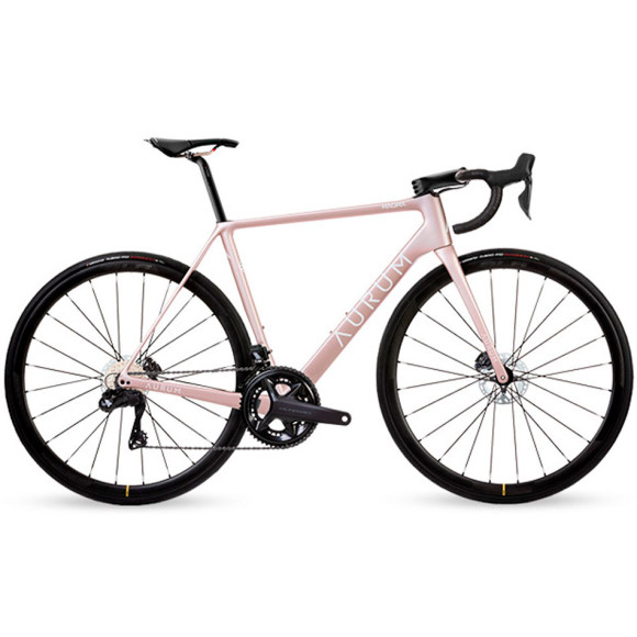 Bicicletta AURUM Magma Shimano Ultegra Ritchey Mavic SLR32 2023 ROSA 48