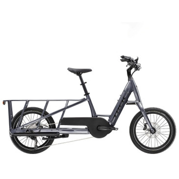 Bicicleta TREK Fetch+ 2 2024