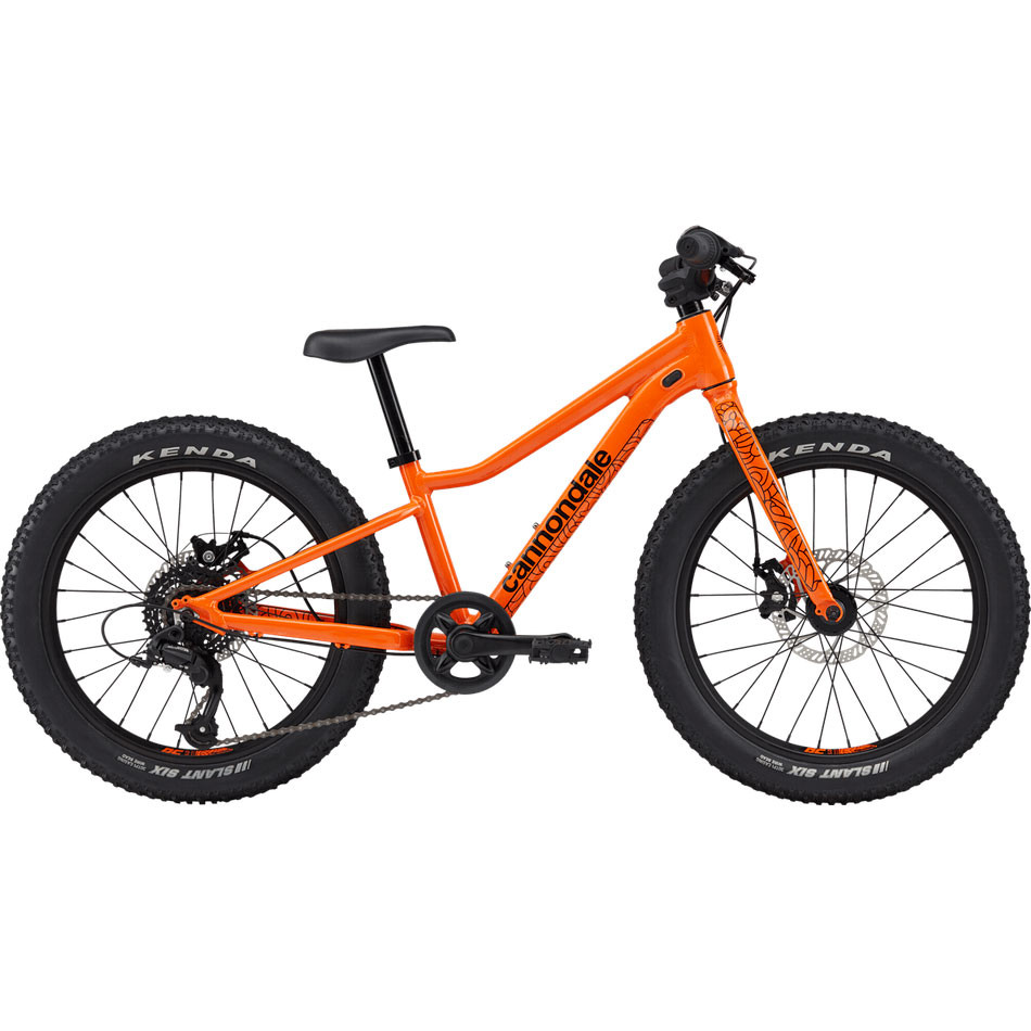 Cannondale kids outlet mountain bike