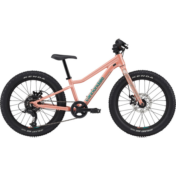 Bicicletta CANNONDALE Trail Plus 20 per bambini SALMONE Única