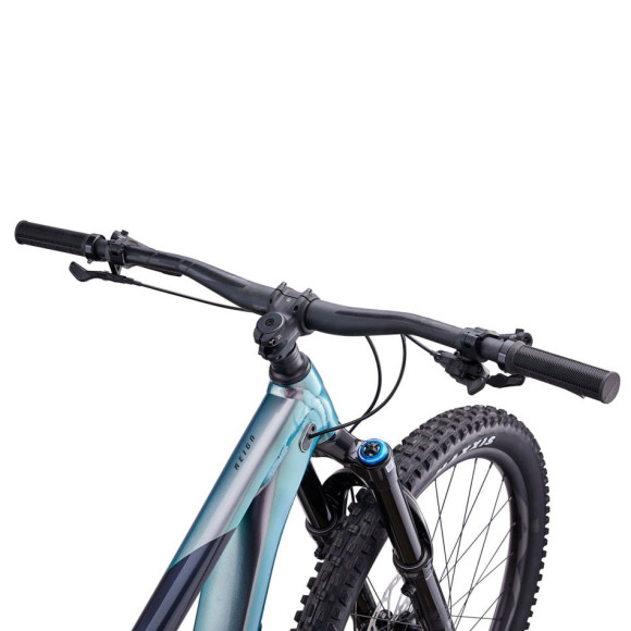 Bicicletta GIANT Reign 1 2023 ARGENTO S