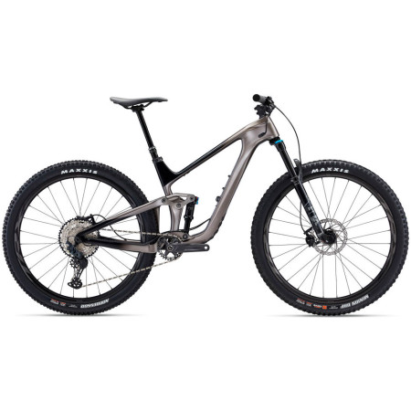 Bicicletta GIANT Trance Advanced Pro 29 2 ARGENTO S