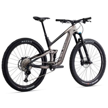 Bicicletta GIANT Trance Advanced Pro 29 2 ARGENTO S