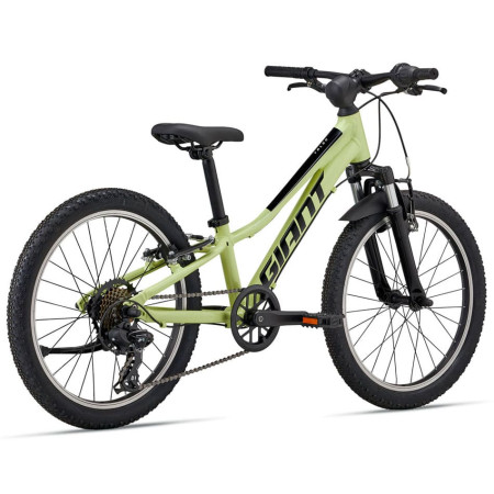 Bicicletta GIANT Talon 20 2024 VERDE Única