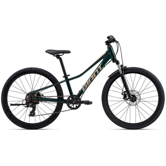 Bicicleta GIANT Talon 24 Disco 2025 VERDE Tamanho único