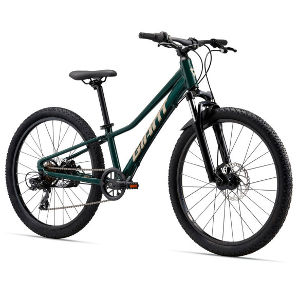 Bicicleta GIANT Talon 24 Disc 2025 VERDE Única