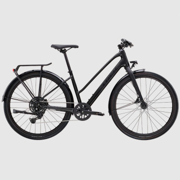 Bicicletta TREK Dual Sport...