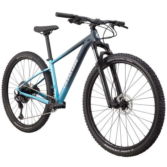 Bicicletta CANNONDALE Trail SL da donna 3 GRIS M