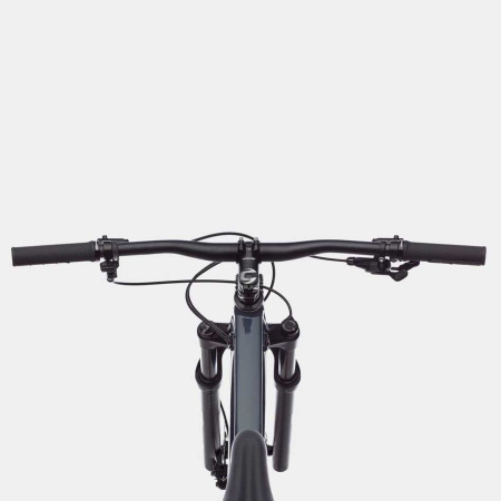 Bicicletta CANNONDALE Trail SL da donna 3 GRIS M