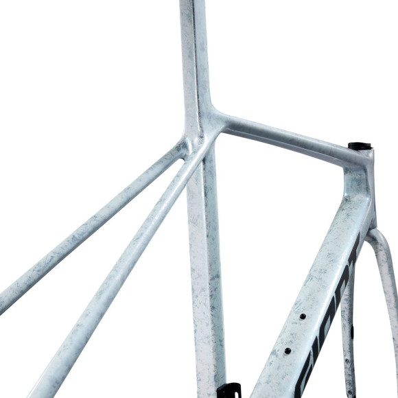 GIANT TCR Advanced SL 2025 frame SILVER XL