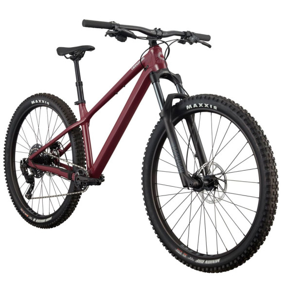 Bicicleta CANNONDALE Habit HT 2 ROXO S