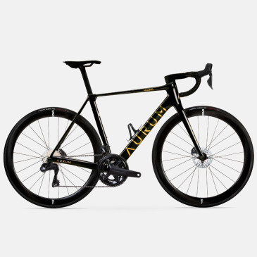 Bicicleta AURUM Magma V2...