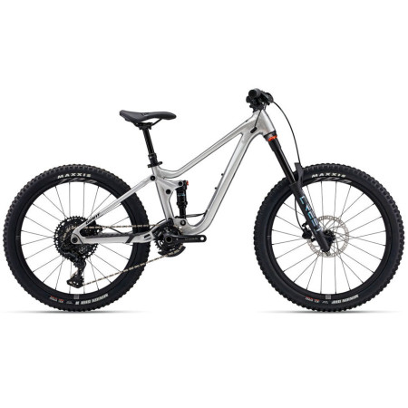 Bicicleta GIANT Faith 24 2025 PLATA Única