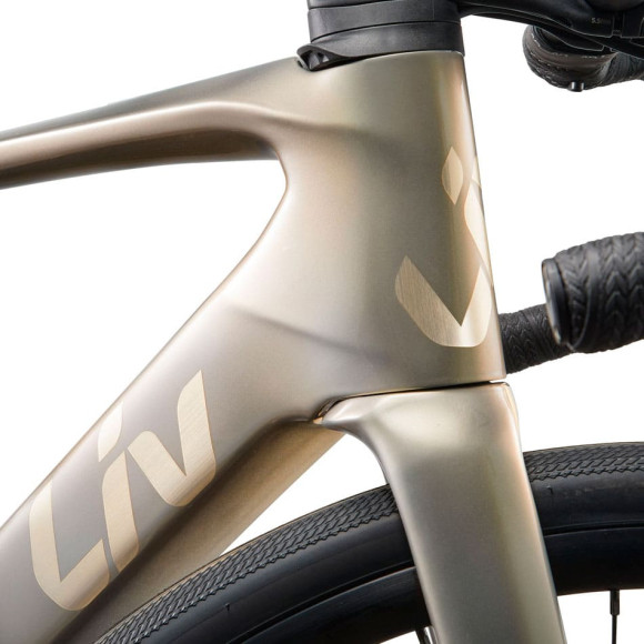 Bici elettrica LIV Avail Advanced E+ Elite 2 2025 ORO XS