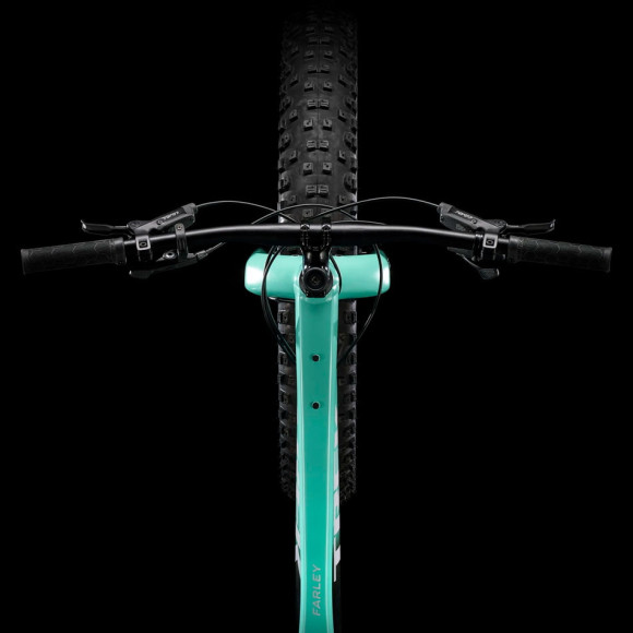 Bicicleta TREK Farley 5 2025 MENTA S